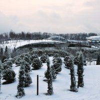 Парк Галицкого, заснежило. :: Юрий Полторыхин.