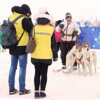 Алтайская зимовка :: елена беликова