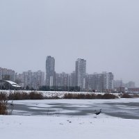 И к нам пришла зима! :: Ольга 