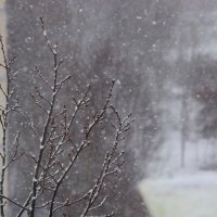 Вчера было солнце... :: Юрий Куликов