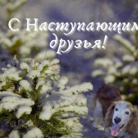 Мы вместе... :: liudmila drake