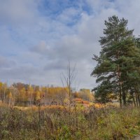 Под небом октября... :: Владимир Жданов