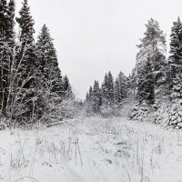 *** :: Денис Бочкарёв