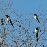 . :: vladimir . :: vladimir