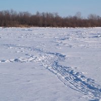 Иртыш. :: сергей ермошкин