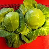 Капустный натюрморт :: Елена 