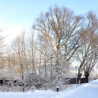 На исходе декабря :: Елена 