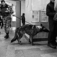 *** :: Сергей Золотавин