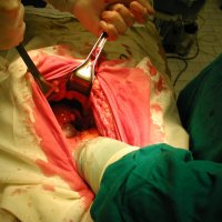 Ночная смена :: Андрей Л. В.