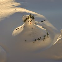 с наступающим 2026 :: cfysx 