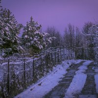Скоро рассвет :: Сергей Цветков