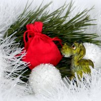 Лошадка в гости к нам на год. :: nadyasilyuk Вознюк