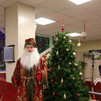 По-новогоднему :: Ольга 