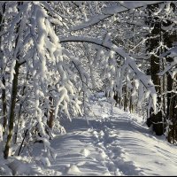 Ностальгия :: Aleksandr Gal