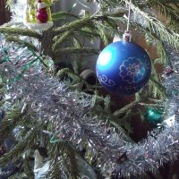 На новогодней ёлочке :: Freddy 97