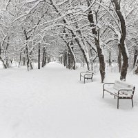 "Морозный день" :: Макс Орлов