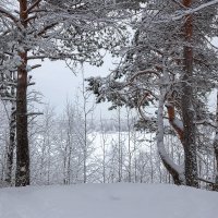 На берегу старицы. :: Андрей Дурапов