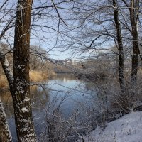 Темерник. :: Александр. AVG100 ---