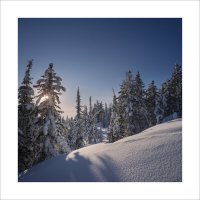 * :: Александр Иванов