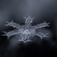 Одна снежинка - ещё не снег :: Игорь Шевченко