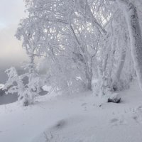 Снежная сказка :: Марина Фомина.