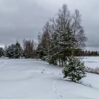 Зимние утро 2 :: Андрей Дворников