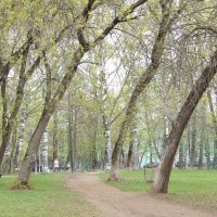 "Сила ветра" :: Макс Орлов