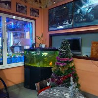 Зал ожидания :: Василий 