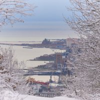 Зима в Новоросе :: daimos 