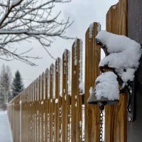 Звонить три раза!) :: Любовь 