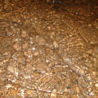 Льдинки на воде :: fogmeadowww m