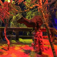 Ночь в Таинственном лесу :: Ольга