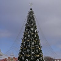 Новогодняя елка :: Игорь Сикорский
