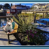 Отдых с собачкой :: Владимир Кроливец Отдых с собачкой :: Владимир Кроливец