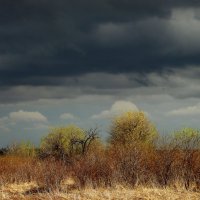 Это весенний первый гром ,грохочет в небе голубом... :: nadyasilyuk Вознюк