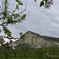 Природа Крыма :: Amazing Cosmea