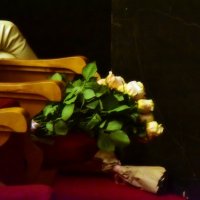 Ждут своего звездного часа. :: Наталья Вязигина