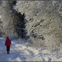 Были Зимы в прошлом.... :: Aleksandr Gal