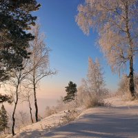 Обь в тумане :: елена беликова Обь в тумане :: елена беликова