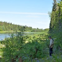 Прогулка по берегу. :: ВикТор Быстров