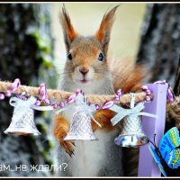 С Наступающим Новым Годом! :: Ольга Митрофанова С Наступающим Новым Годом! :: Ольга Митрофанова