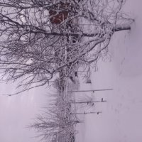 Зимняя сказка :: Алексей Т