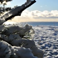 "У моря, у синего моря.." :: AleksSPb Лесниченко