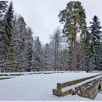 Чудесный предпоследний день декабря-2025. :: Лия ☼