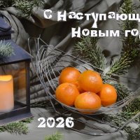 *** :: Надежда Куркина 