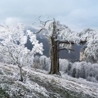 winter view :: Elena Wymann