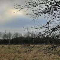 Зима 2025. Декабрь :: Наталья Герасимова