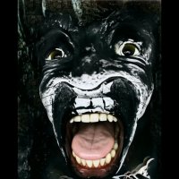 Арт-мета :: Журавлев Владимир 