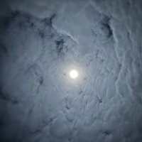 Луна :: Ольга Савельева 