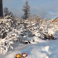 Я на солнышке лежу :: Фотогруппа Весна Я на солнышке лежу :: Фотогруппа Весна